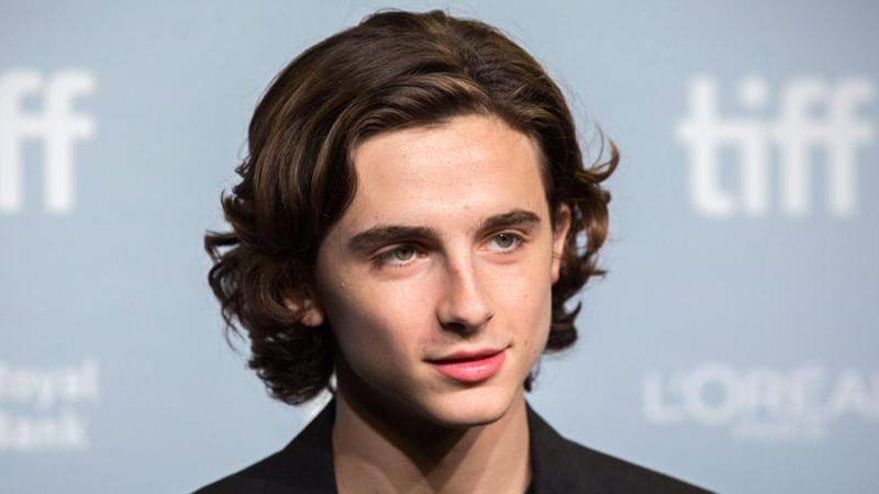 How To Get Timothée Chalamet’s Wonderful Hair