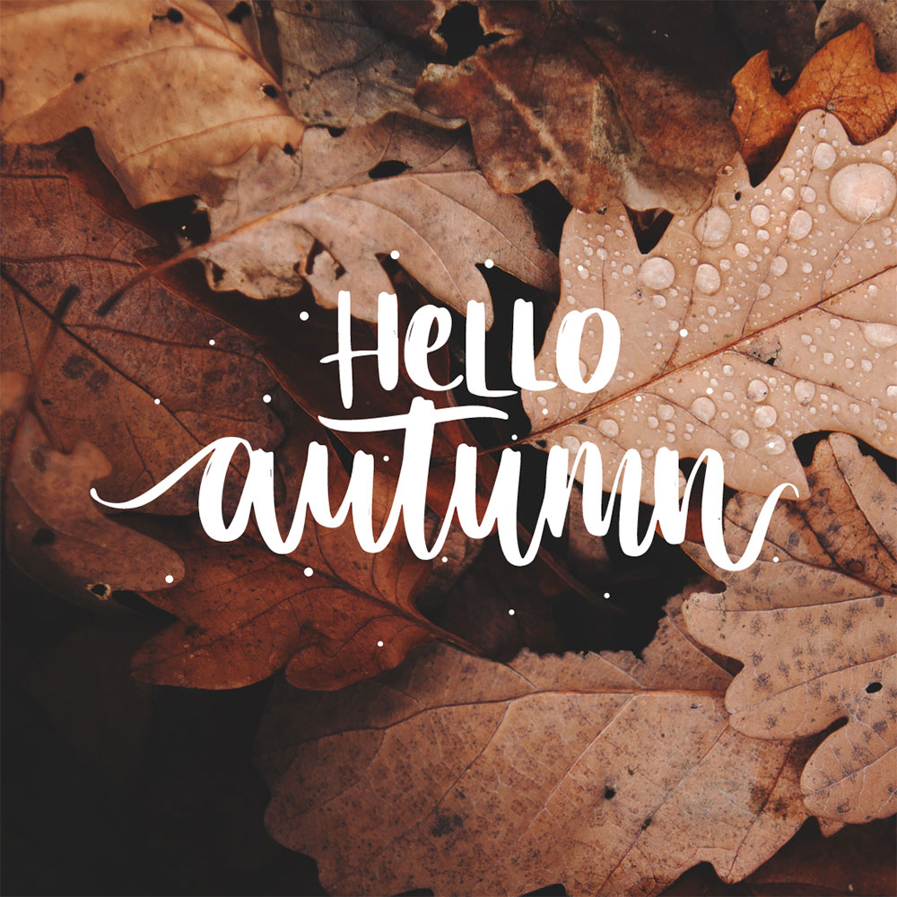 Make-up and Magnificence Weblog Monday Ballot, Vol. 849