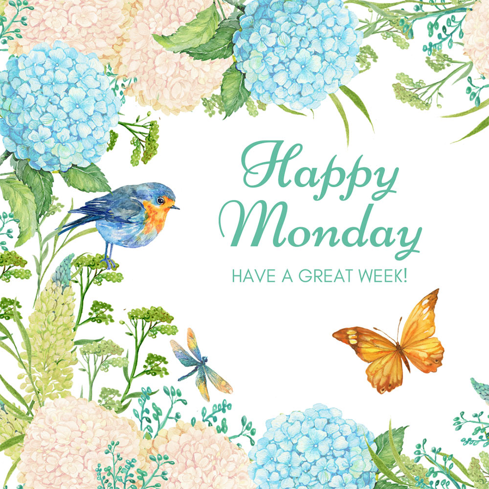 Make-up and Magnificence Weblog Monday Ballot, Vol. 868
