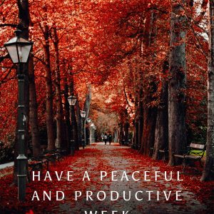 Make-up and Magnificence Weblog Monday Ballot, Vol. 890