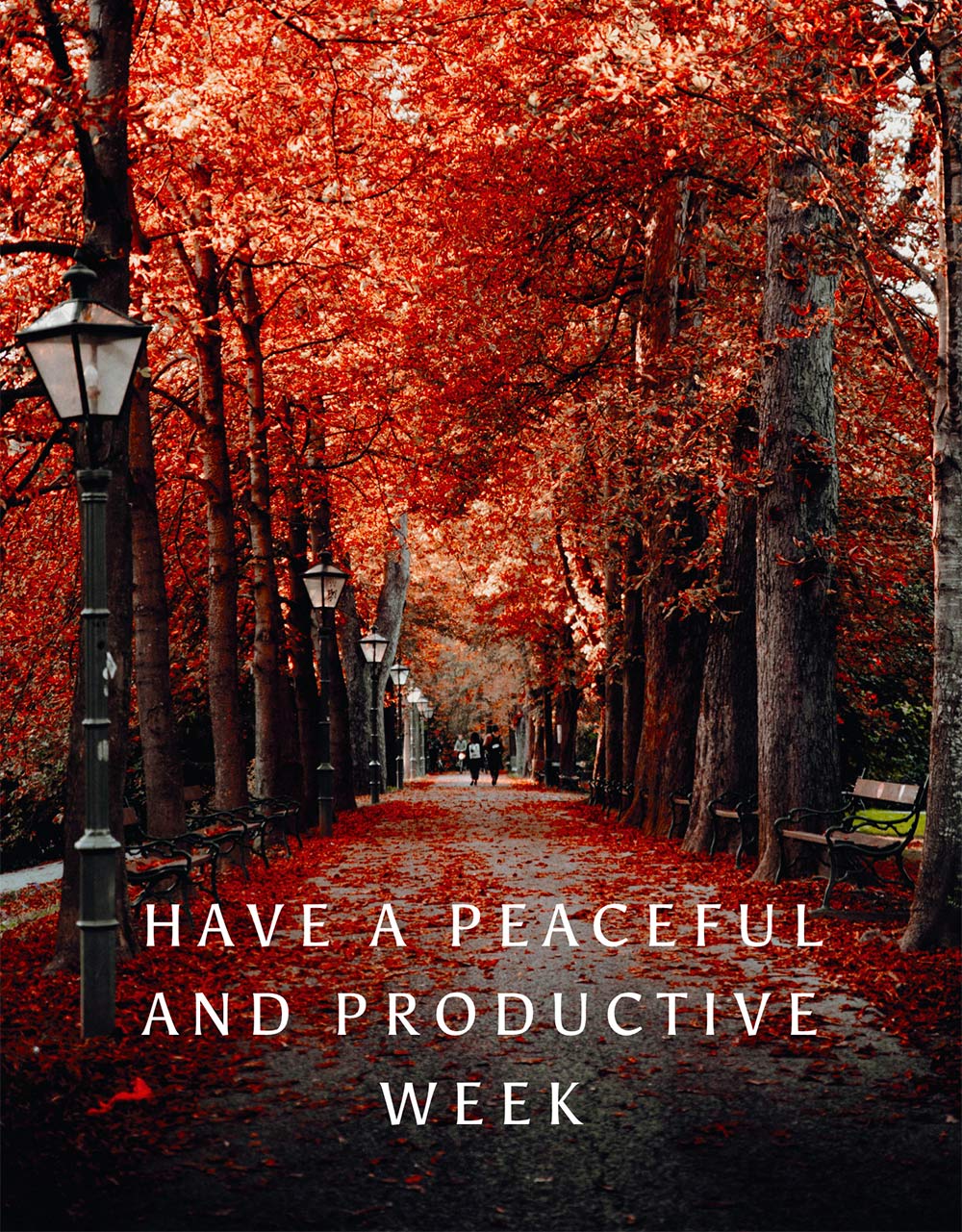 Make-up and Magnificence Weblog Monday Ballot, Vol. 890