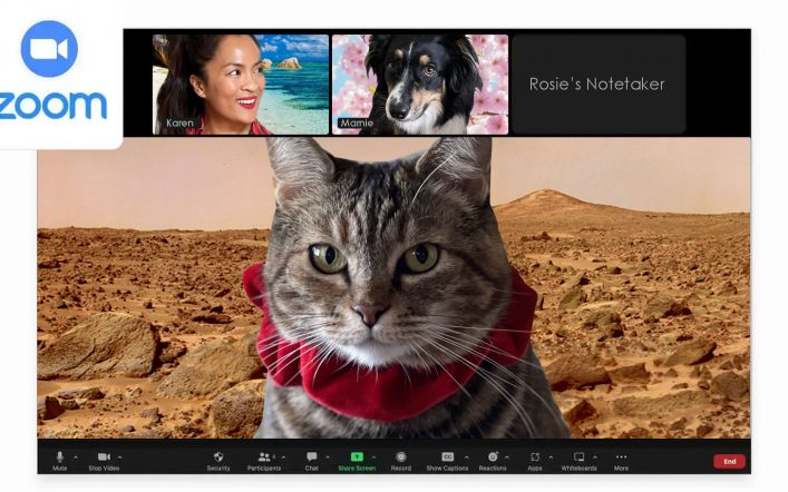 Sundays With Tabs the Cat, Make-up and Magnificence Weblog Mascot, Vol. 878