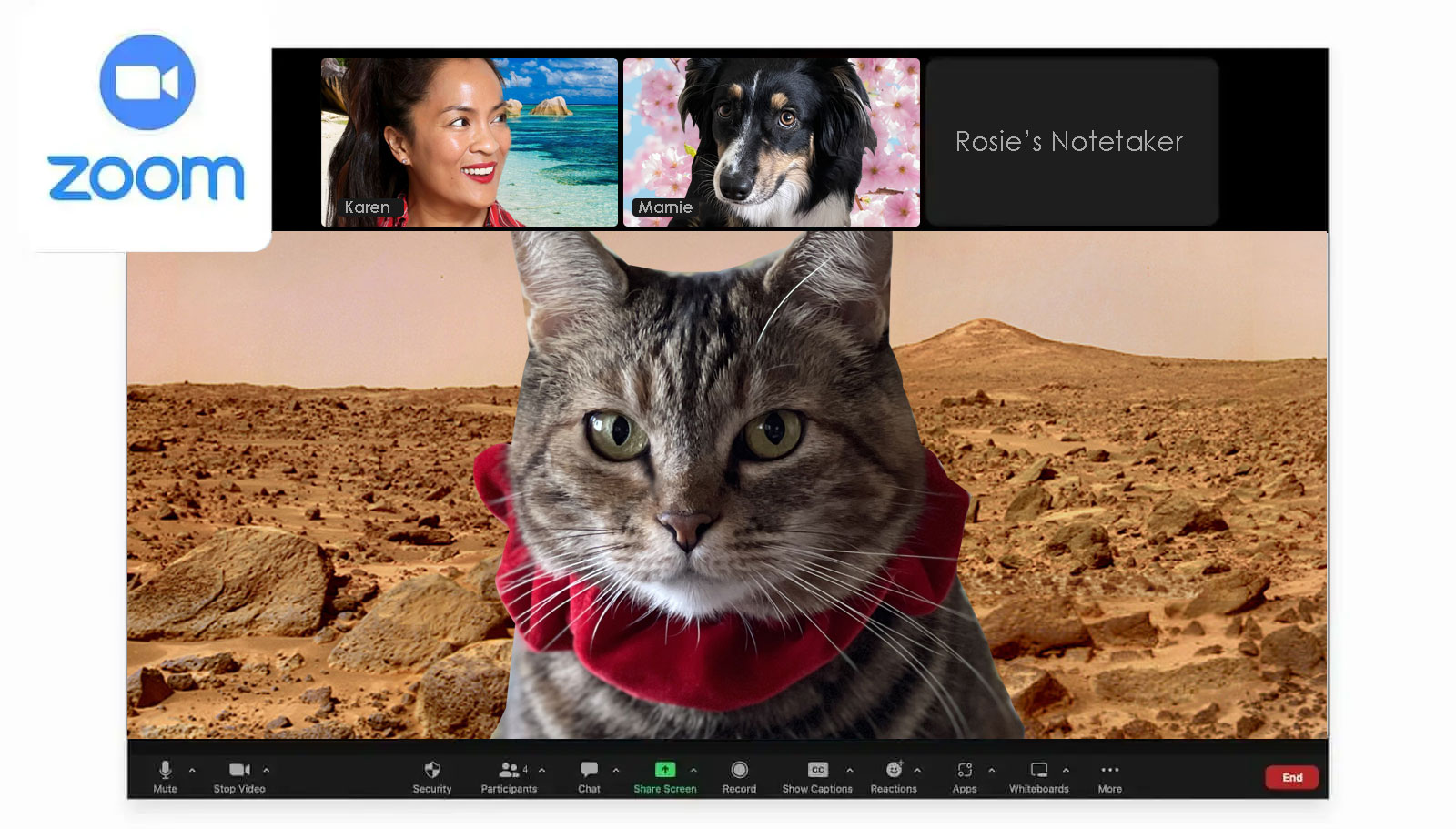 Sundays With Tabs the Cat, Make-up and Magnificence Weblog Mascot, Vol. 878